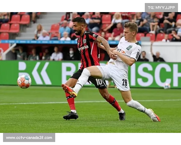 海登海姆1-1战平勒沃库森，克莱因丁斯特破门